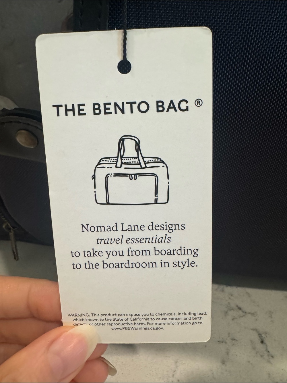 NWT Nomad Lane Bento Bag - Picture 2 of 12